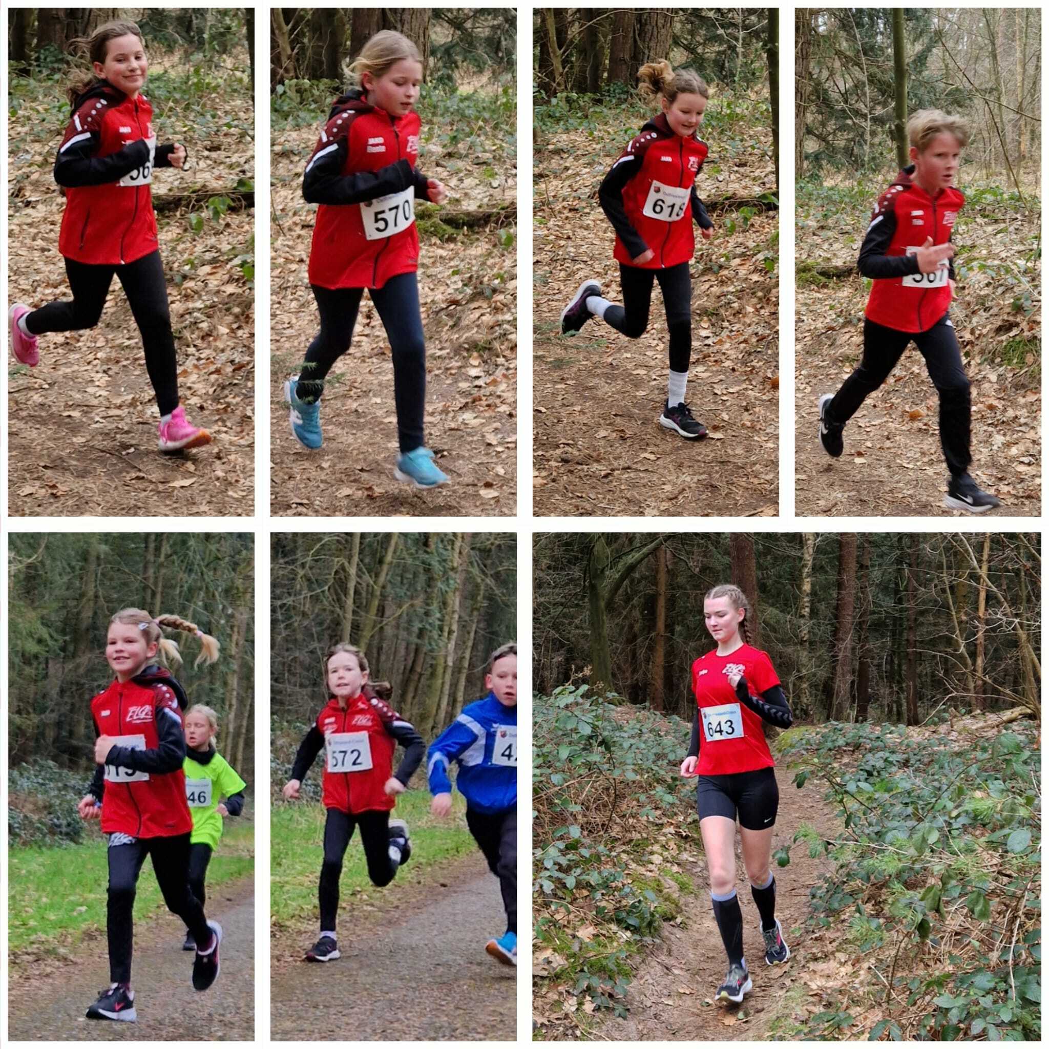 Crosslauf in Hesel